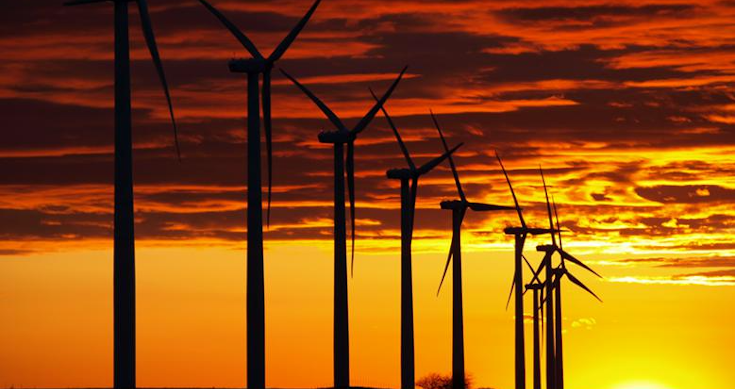 Future Fund, AGL, QIC Have a Tilt at Renewables - ShareCafe